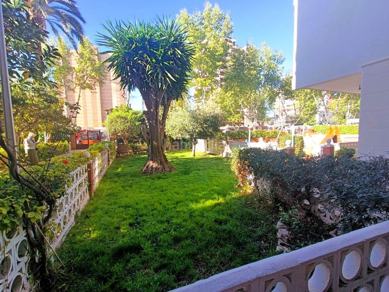 Foto d894e864-c0a6-46b8-be3a-6b98ddeef20e. Planta baixa amb aparcament piscina a Playa Levante Benidorm