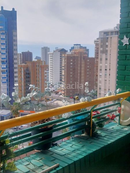 Foto 2b1c7ca9-55dd-4143-91c4-b0b5ced9de12. Pis amb aparcament piscina a Juzgados - Plaza de Toros Benidorm