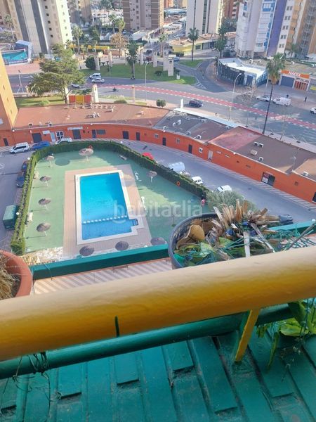 Foto 2fd7311d-d072-4f6d-a228-f565dc4460cc. Pis amb aparcament piscina a Juzgados - Plaza de Toros Benidorm