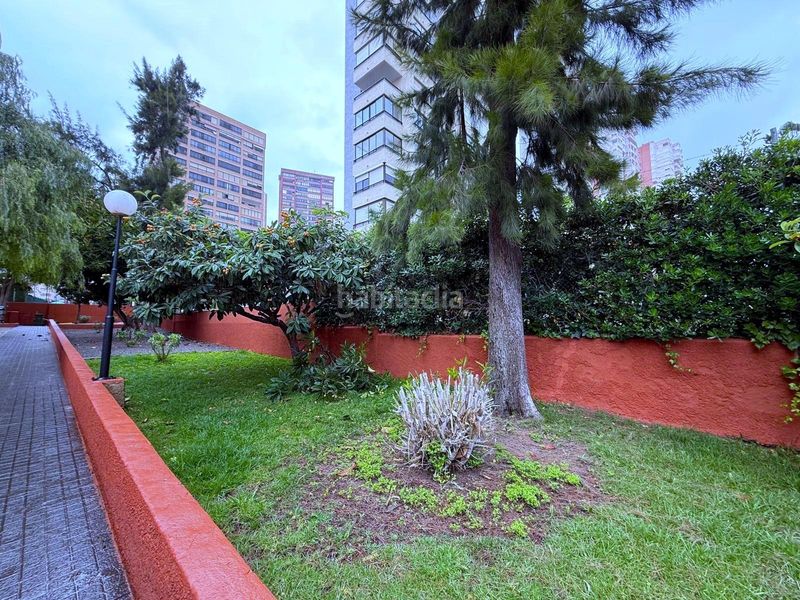 Foto 3fff0785-8eb3-49f8-826a-82a517e245ff. Pis amb aparcament piscina a Juzgados - Plaza de Toros Benidorm