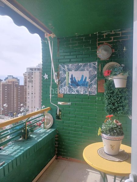 Foto 7a96c911-bb9e-46df-ac56-4699660cfa4b. Pis amb aparcament piscina a Juzgados - Plaza de Toros Benidorm