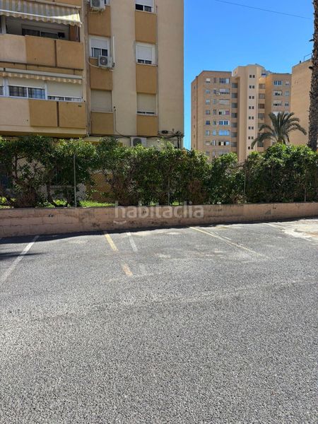 Foto cb95df7b-b7f0-4056-a19d-7ede35494d6b. Pis amb aparcament piscina a Juzgados - Plaza de Toros Benidorm