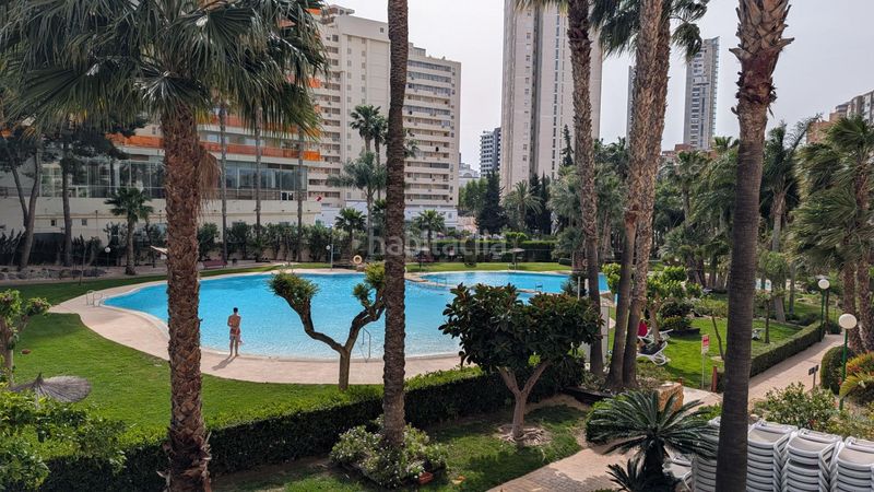 Foto 15552614-e978-4696-9697-b18fc6374a3c. Apartament amb aparcament piscina a Rincón Bajo Benidorm