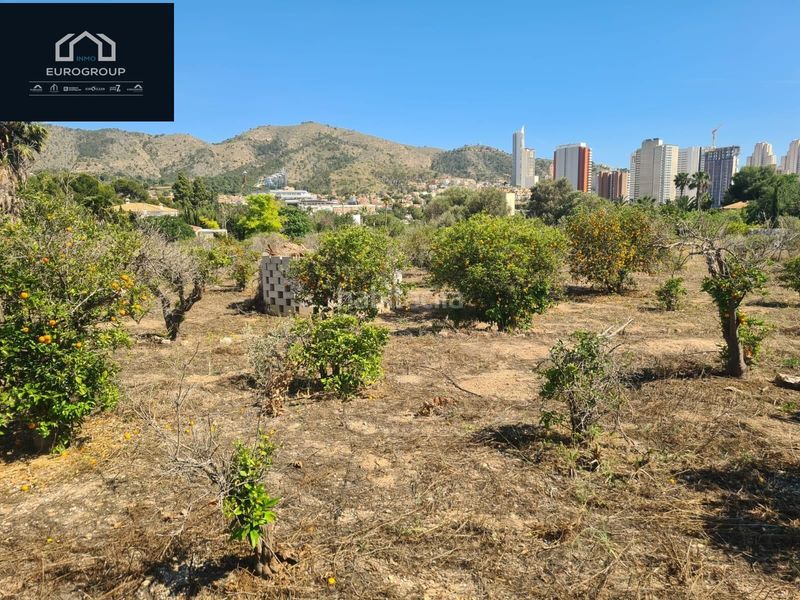 Foto 7695ee48-0b6b-4e8a-a53f-2d2664cfb472. Masia amb aparcament a Rincón Bajo Benidorm