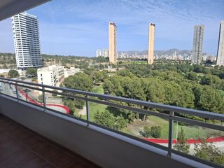 Affitto Piccolo appartamento in Via Parque. Se alquila apartamento un dormitorio en via parque benidorm