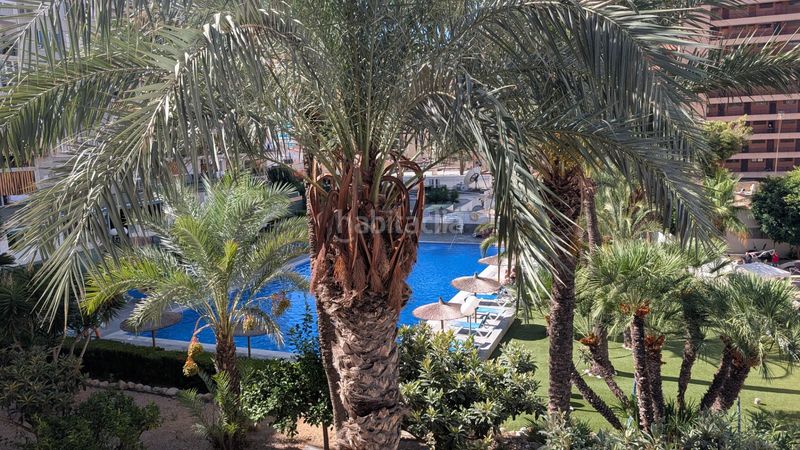 Foto 04170b2f-93d8-4fcc-b7cd-cb64349df78f. Apartament amb aparcament piscina a Rincón Alto Benidorm