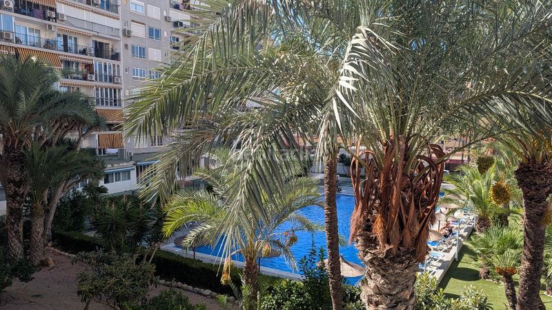 Foto 737b1f97-0e0e-43bb-a741-1b8ef23101b7. Apartament amb aparcament piscina a Rincón Alto Benidorm