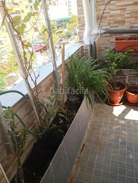 Foto 6f457018-7e91-4228-b4d3-d4e85bd722f1. Àtic a Centro Urbano Benidorm