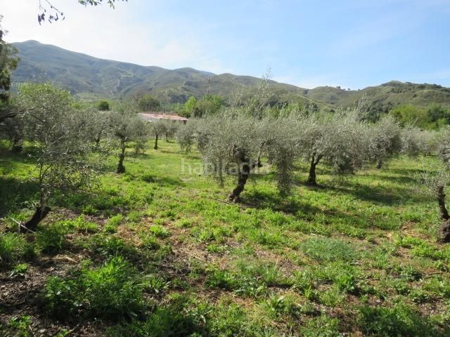 Foto 0832997d-c9be-4b7c-920e-f8910a4df995. Finca rústica a Cenes de la Vega