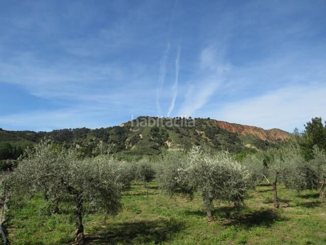 Foto 35460ff1-b377-4f2d-b016-6320af940806. Finca rústica a Cenes de la Vega