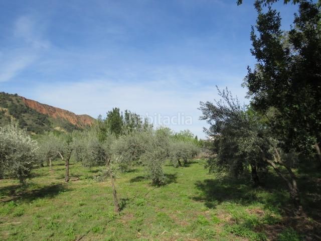 Foto 51efd572-857a-4cdf-a87d-53c819c2ef69. Finca rústica a Cenes de la Vega