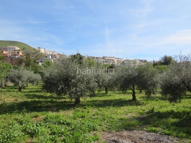 Foto 547f9319-17ff-4656-a453-347c73777eb9. Finca rústica a Cenes de la Vega