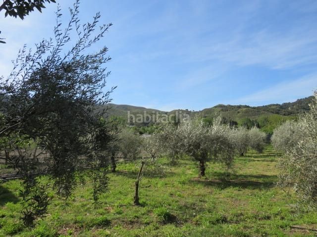 Foto 5dd286af-66e3-4e27-9bd4-881b687a1682. Finca rústica a Cenes de la Vega