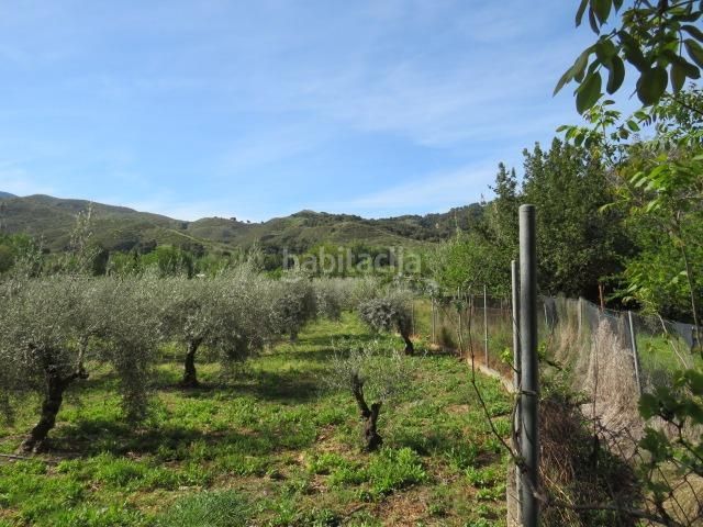 Foto 9b03c41a-a998-4fab-91f6-6270d72a5d5c. Finca rústica a Cenes de la Vega