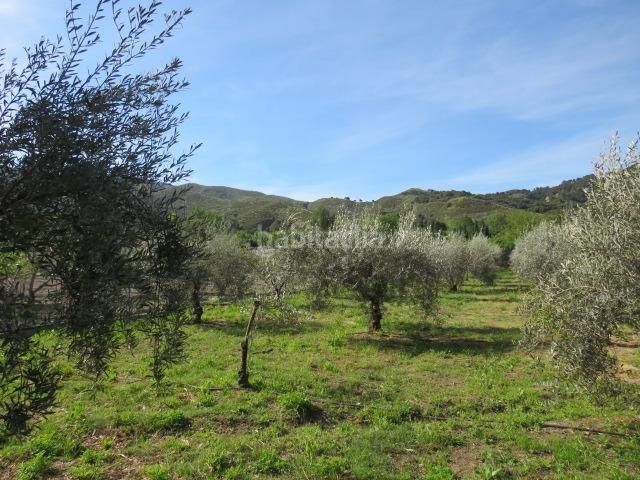 Foto aa967619-c6b9-4f1f-a111-d922b7aa5f15. Finca rústica a Cenes de la Vega