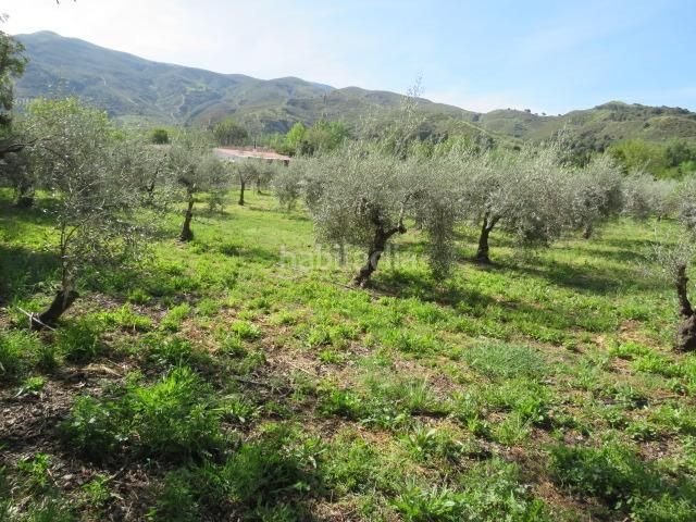 Foto c1b1064e-1d90-471d-a668-9caee82ed933. Finca rústica a Cenes de la Vega