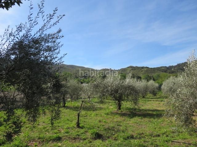 Foto d626d104-01ed-4a8f-bd3b-e12911721007. Finca rústica a Cenes de la Vega