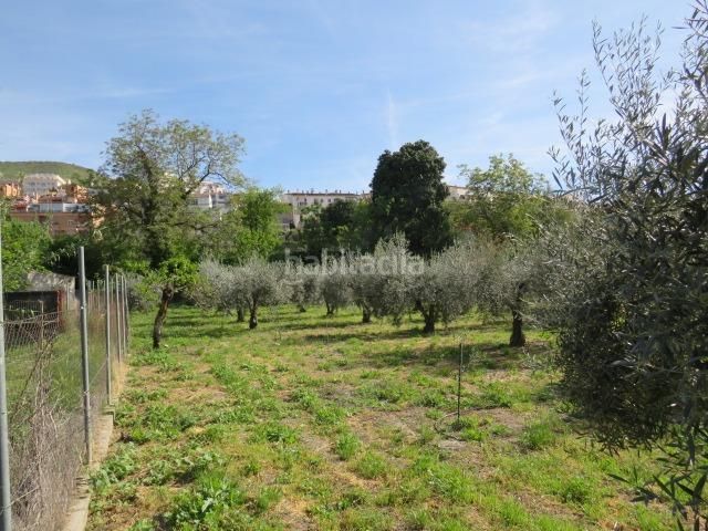 Foto de9bac4b-063f-4b89-b3b5-25f22327d540. Finca rústica a Cenes de la Vega