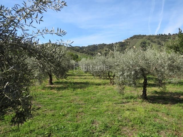 Foto e33fea7b-01de-47a2-a85a-0779dbcc1086. Finca rústica a Cenes de la Vega