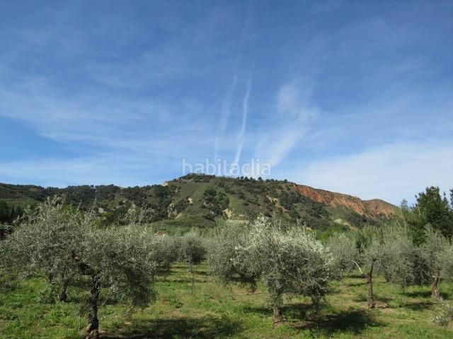 Foto e732fae7-9faa-42d8-ba31-aa5d0f62f8e4. Finca rústica a Cenes de la Vega