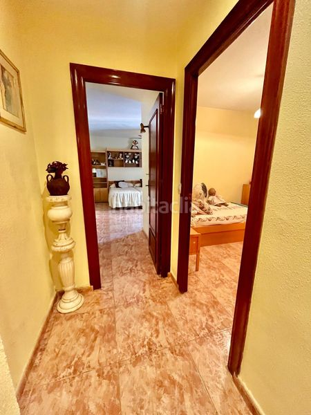 Foto 0ea73625-2515-4aa7-b425-8a66a0cc487d. Pis a Carolinas Altas Alicante