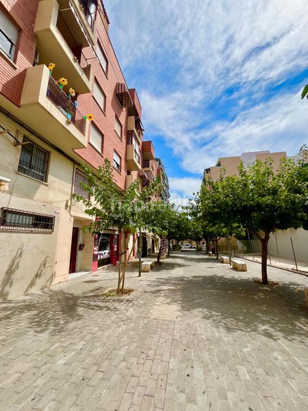 Foto c84999c8-a49f-4501-be87-f15ad0477856. Àtic a Los Ángeles Alicante