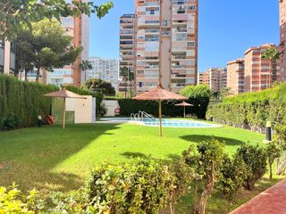 Rent Apartment in Juzgados - Plaza de Toros. Apartamento de esquina, de 3 dormitorios, aire acondicionado, pi
