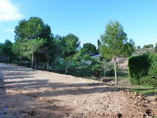 Terreny residencial a Calle abedul 1