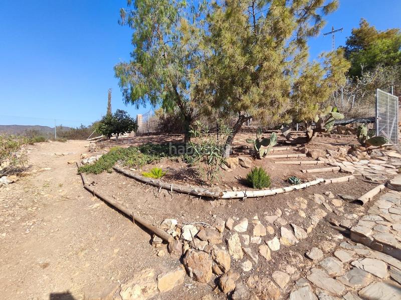 Foto 1d1d01bf-5aa1-4449-b6e6-03b822662274. Masia a Tébar - Los Arejos Águilas