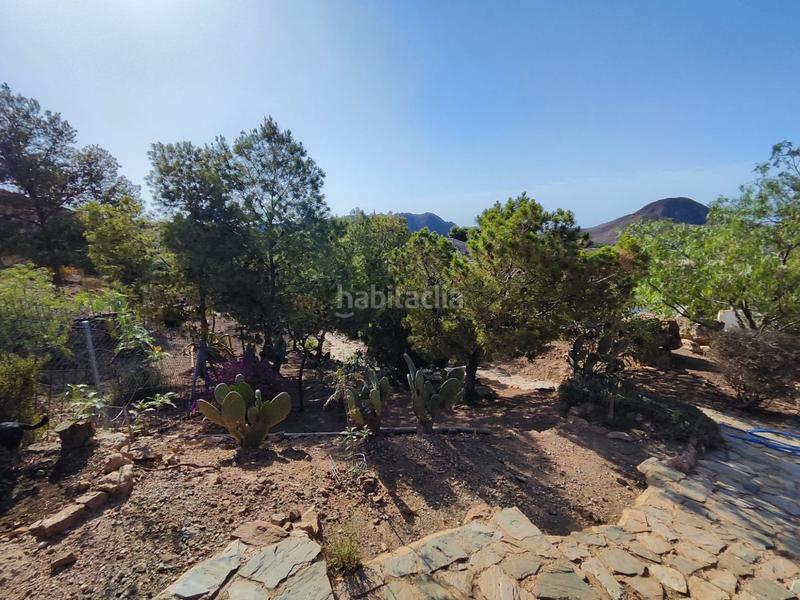 Foto 5b83810d-18c5-4422-8087-cd8185a2e380. Masia a Tébar - Los Arejos Águilas