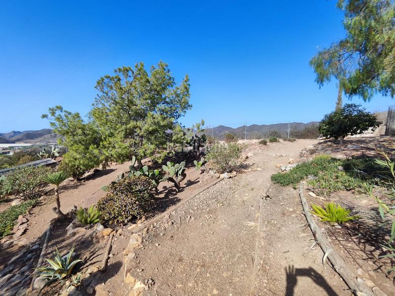 Foto 6fc34bb8-5696-4113-8cf9-62fb0d78057f. Masia a Tébar - Los Arejos Águilas