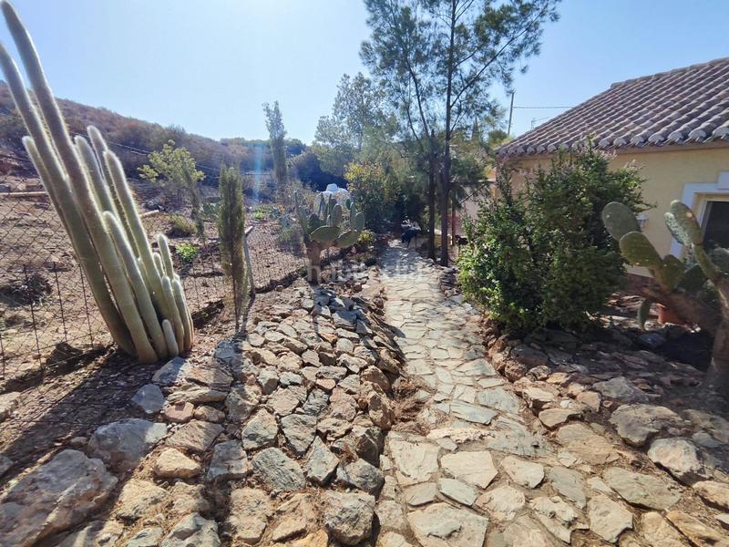 Foto 81add964-88cf-41db-91d6-1761c47d4ae7. Masia a Tébar - Los Arejos Águilas