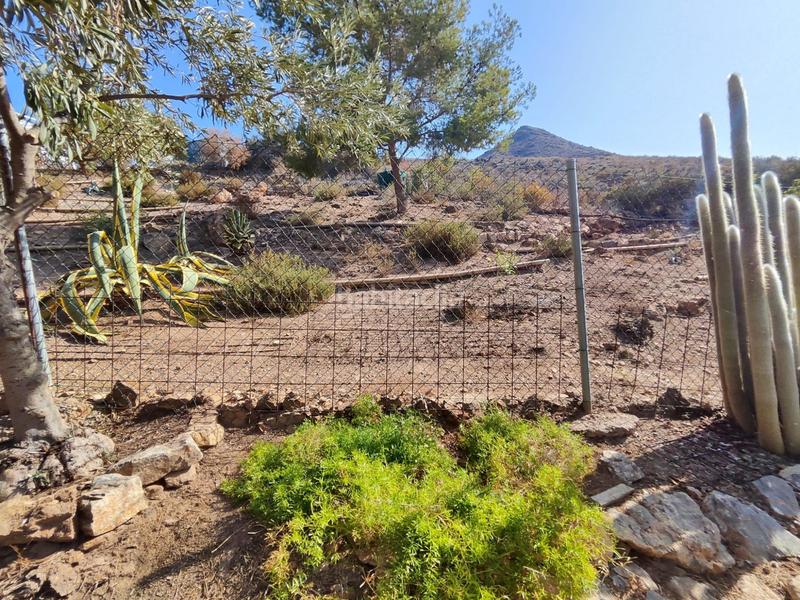 Foto ea02fe16-4d1a-482f-9002-8298d6ab9672. Masia a Tébar - Los Arejos Águilas