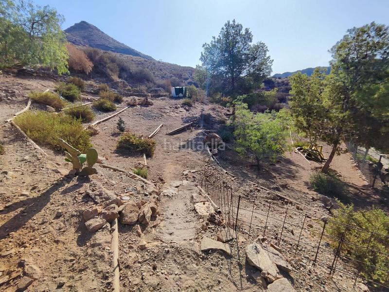 Foto f2f1e4ca-2d9a-465d-af89-47ea013cbfdb. Masia a Tébar - Los Arejos Águilas