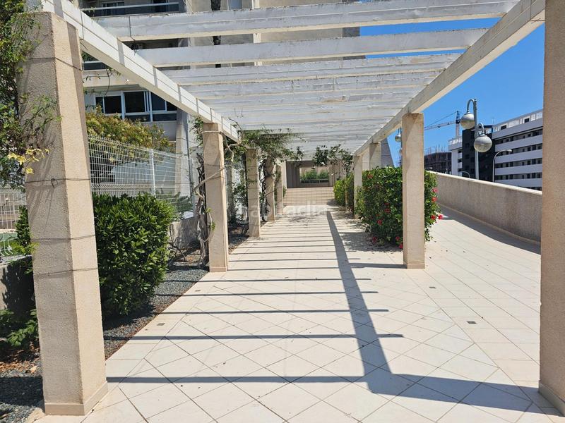 Foto 0c8ae2a5-2d4a-41ec-aae5-fa5dae0f03a2. Ático en calle calle perseo !vistas panorámicas al mar, garaje, trastero, solarium privado!... piscina común. en Torrevieja