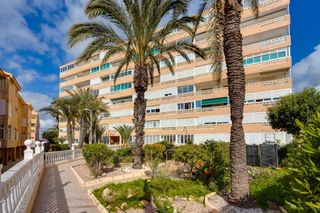 Apartamento en Avenida inglaterra 81. Apartamento de 1 dormitorio a 150 metros de la playa de la mata