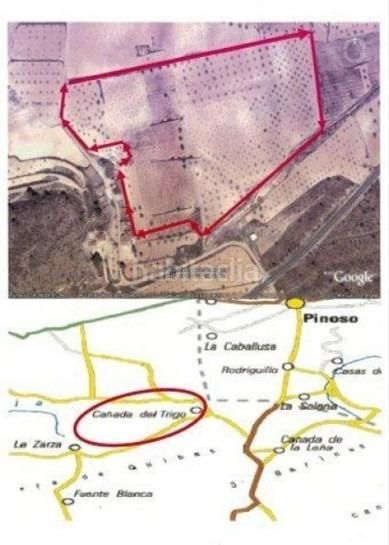 Foto 9e85f5b1-9533-49c1-89df-2d32103ff800. Finca rústica a Jumilla