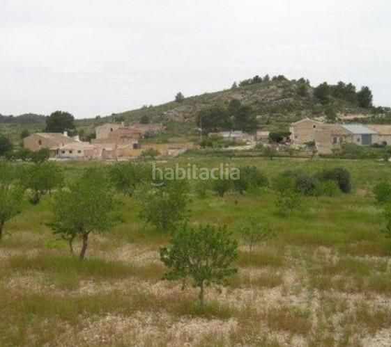 Foto 9e945d95-3024-47f5-a58f-26801d4ed38d. Finca rústica a Jumilla