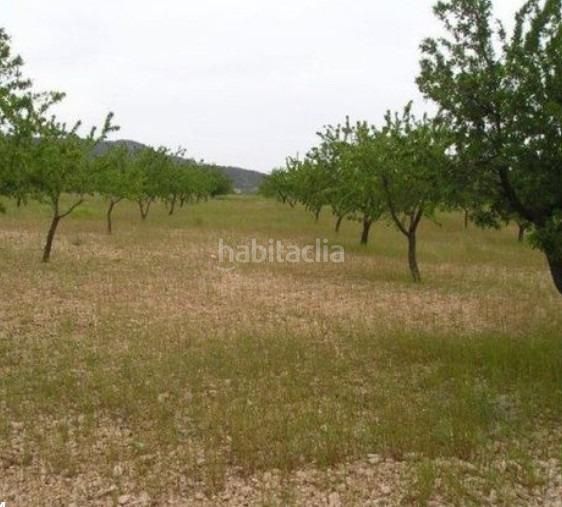 Foto b42b89c9-4d24-48ee-90e8-b656c6837d36. Finca rústica a Jumilla