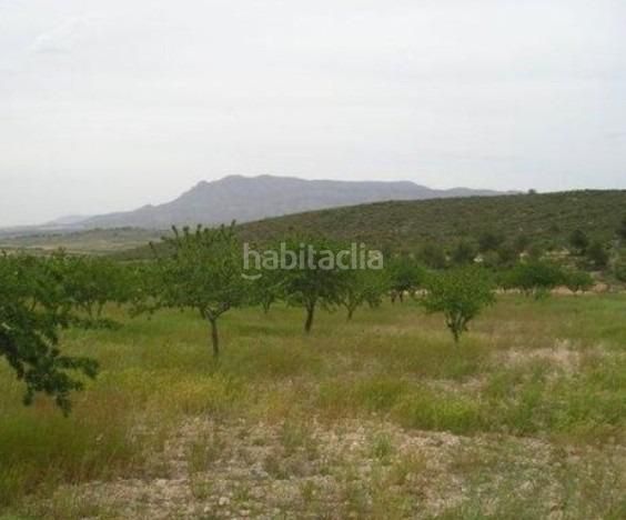 Foto ea86e772-7468-4227-b3fa-719f1798425a. Finca rústica a Jumilla