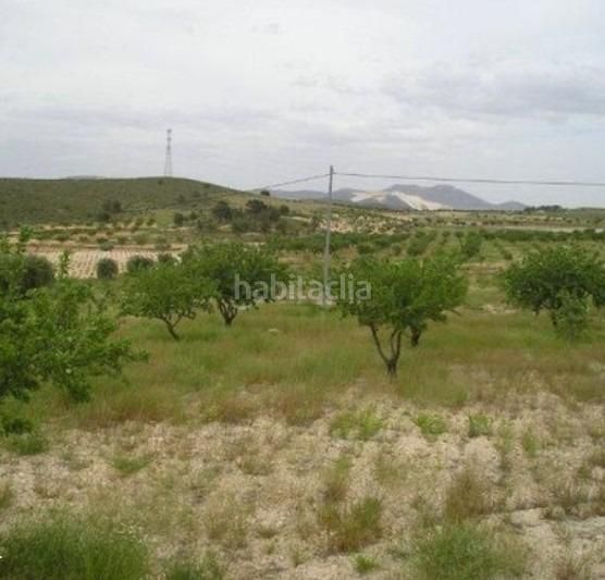 Foto f9779c90-ed57-438e-9429-5d35bd0f1b2f. Finca rústica a Jumilla