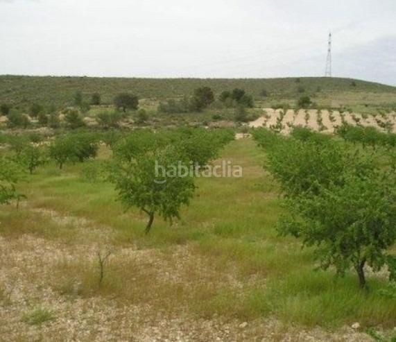 Foto fa769b1f-a3e7-41e6-9096-666e96bd970d. Finca rústica a Jumilla