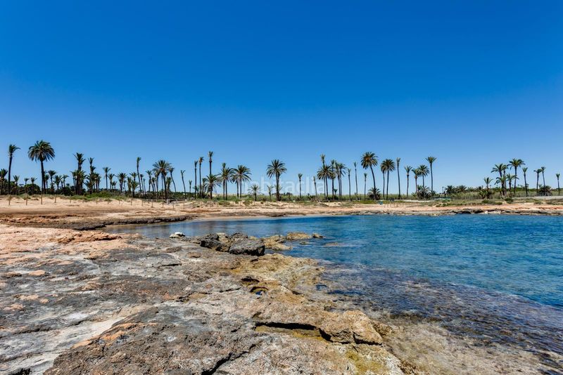 Foto 1f93be62-420c-4ff4-a5fb-1a4c229a6adb. Apartament amb calefacció aparcament piscina a Punta Prima Torrevieja