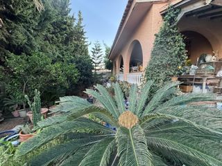 Xalet a Zona los Frutales. Villa independiente con gran parcela a tan solo 200 m del mar en