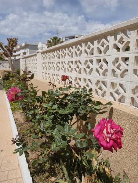 Foto 22d7349c-19ff-4ce4-ac44-8d8e5ac2052e. Apartament amb aparcament piscina a Los Tiradores Cuenca