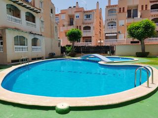 Apartament  Maria gil vallejos. Venta de apartamento con piscina comunitaria torrevieja alicante