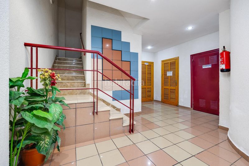 Foto 6c9d3137-6d57-43cb-886b-dcd04e4a4eef. Estudio gran estudio en zona avenida habaneras, en Torrevieja