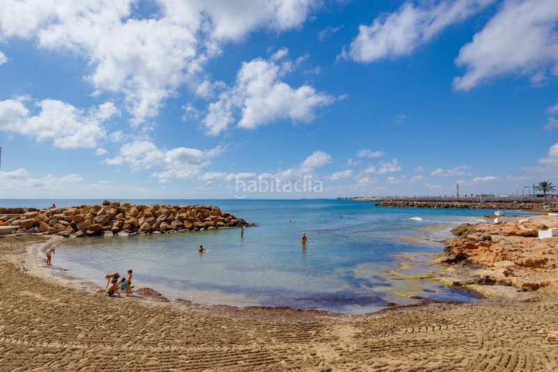 Foto c4733b12-8a71-4a52-ada5-e3384c11b684. Estudio gran estudio en zona avenida habaneras, en Torrevieja