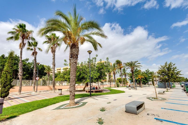 Foto ca4e637d-323a-45cd-b432-f9aa39d19e4e. Estudio gran estudio en zona avenida habaneras, en Torrevieja