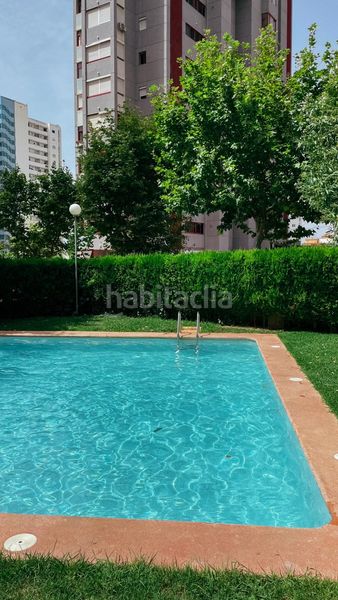 Foto c5689d9b-f3cd-453c-8e19-3dfb4ff79df5. Apartament amb piscina a Juzgados - Plaza de Toros Benidorm